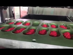 Υψηλής ποιότητας υλικό EVA πολύχρωμη παραγωγή παπουτσιών από κόκκους